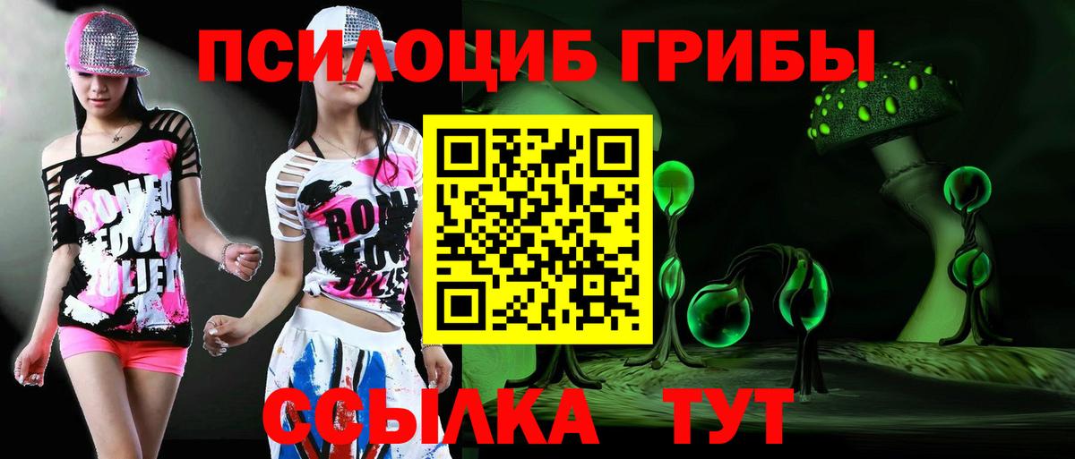 Хабаровск  Псилоцибиновые грибы прущие грибы  Вход с VPN 