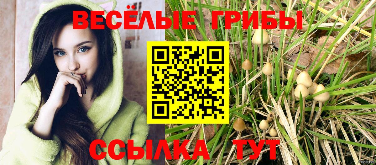 Галлюциногенные грибы Psilocybe Хабаровск